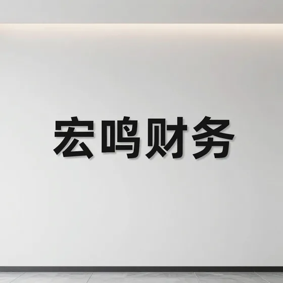宏鸣财务行业解析